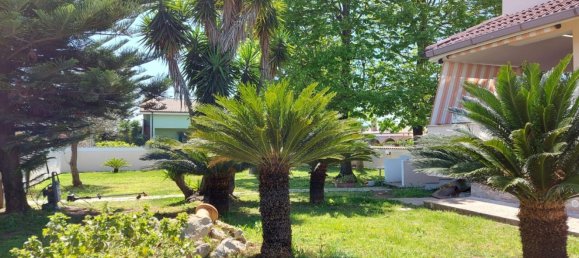 4 rooms Villa in Nettuno, Italy No. 68038 35