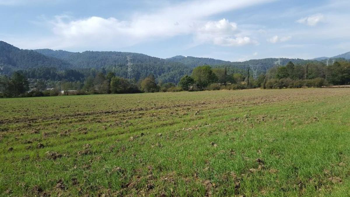 Grundstück in Amanalco, Mexico, Nr. 202646