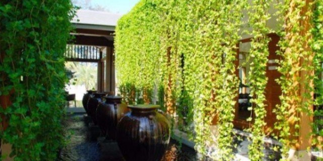 2 bedrooms Condo in Naithon Beach, Thailand No. 26009