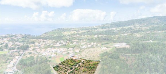 Grundstück in Calheta, Portugal, Nr. 109594 17