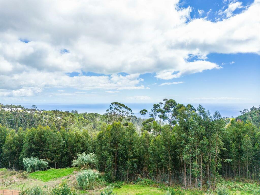 Grundstück in Calheta, Portugal, Nr. 109594