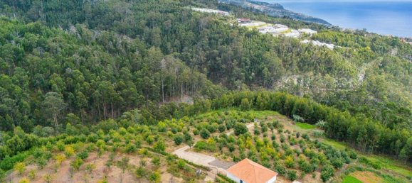 Grundstück in Calheta, Portugal, Nr. 109594 12