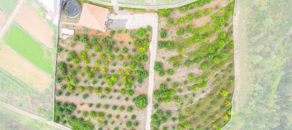Grundstück in Calheta, Portugal, Nr. 109594 23