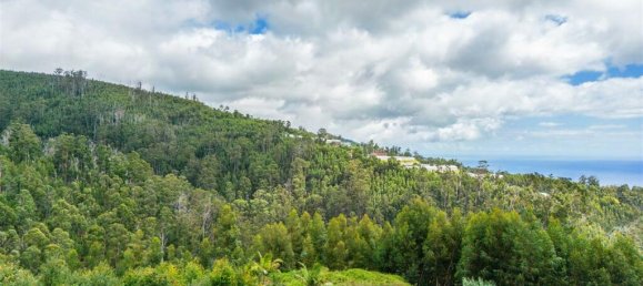 Grundstück in Calheta, Portugal, Nr. 109594 3