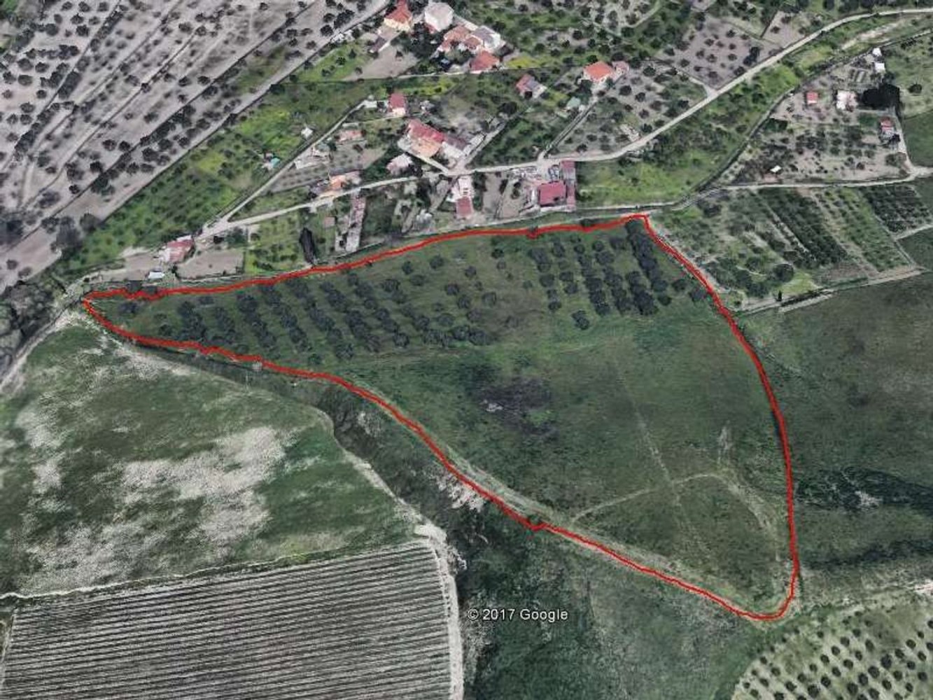 50000m² Land in Catanzaro, Italy No. 167806
