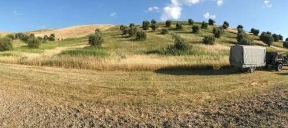 50000m² Land in Catanzaro, Italy No. 167806 3
