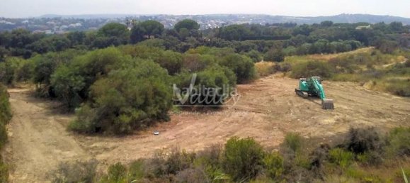 قطعة أرض في Cadiz, Spain 3376متر مربع رقم 26941 7