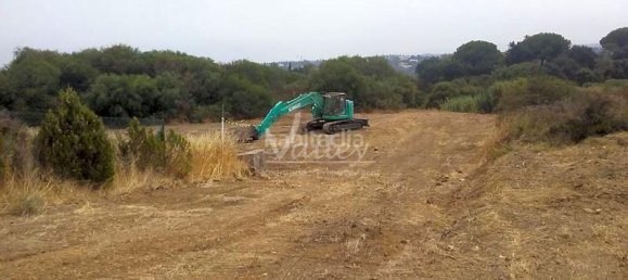 قطعة أرض في Cadiz, Spain 3376متر مربع رقم 26941 9