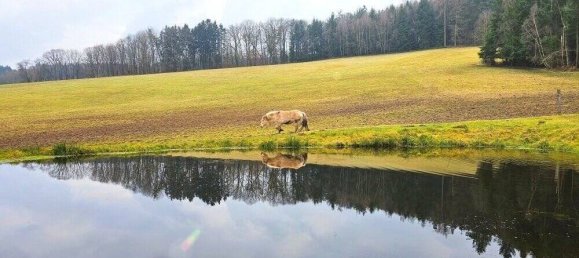 4 chambres Ferme à Odenwaldkreis, Germany No. 45819 20