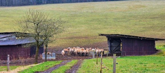 4 chambres Ferme à Odenwaldkreis, Germany No. 45819 19