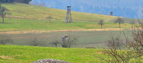 4 chambres Ferme à Odenwaldkreis, Germany No. 45819 24