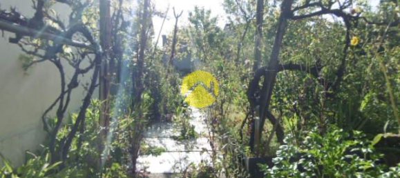 4 Schlafzimmer Stadthaus in Le Blanc, France, Nr. 67190 11