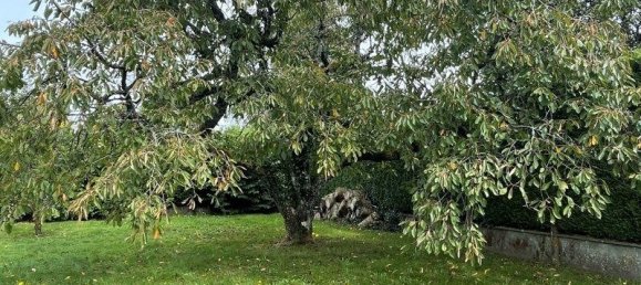 4 bedrooms Villa in Authon-du-Perche, France No. 250959 13