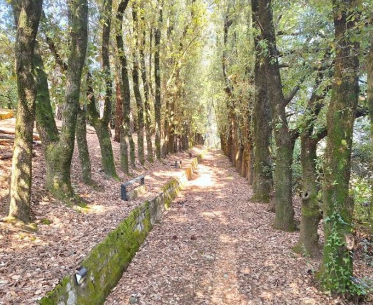 11 rooms Villa in Monte Castello di Vibio, Italy No. 49952