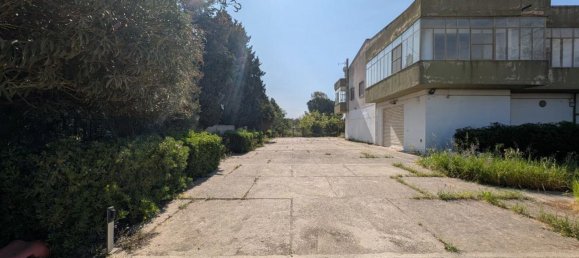 Земельный участок 5000м² в Сесту, Италия № 101961 6