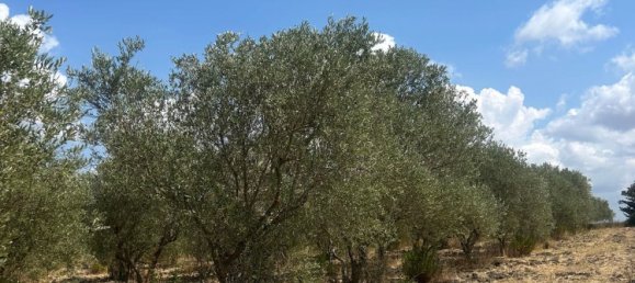 Grundstück in Sassari, Italy, Nr. 313378 5