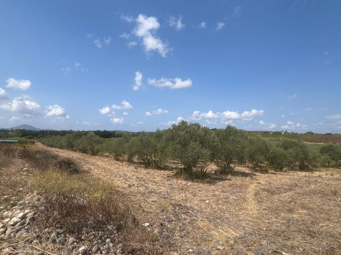 Grundstück in Sassari, Italy, Nr. 313378