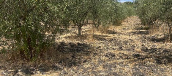 Grundstück in Sassari, Italy, Nr. 313378 3