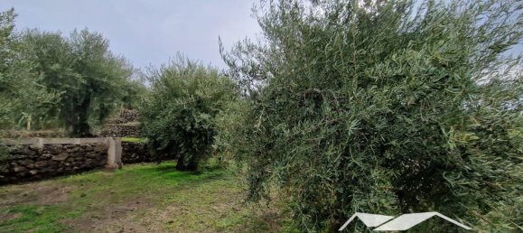 Вилла с 2 комнатами в Санта Мария ди Ликодия, Италия № 286386 40