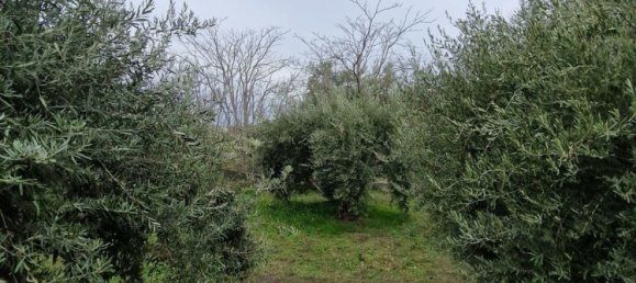 Вилла с 2 комнатами в Санта Мария ди Ликодия, Италия № 286386 29