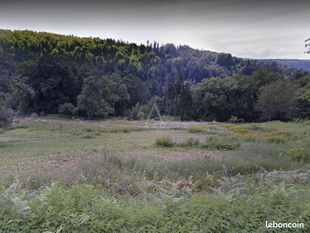  Land in Abreschviller, France No. 64283