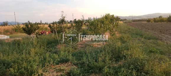 Armazém em Cesena, Italy 100 m² N.º 263497 4