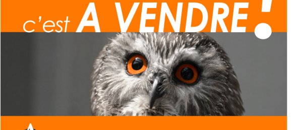 5 غرف نوم بناية في Gouvieux, France رقم 158891 20