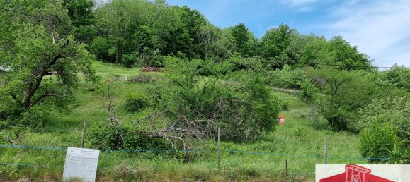 Земельный участок в Мюльбак-сюр-Мюнстер, Франция № 87529 2