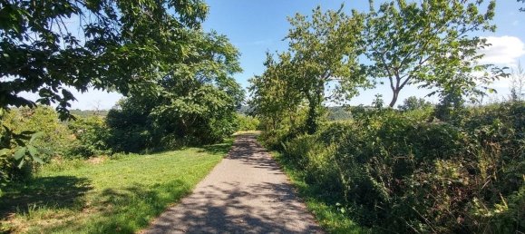 6 bedrooms House in Zocca, Italy No. 330240 37