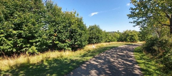 6 bedrooms House in Zocca, Italy No. 330240 38