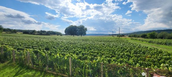 2 Schlafzimmer Haus in Saacy-sur-Marne, France, Nr. 294122 11