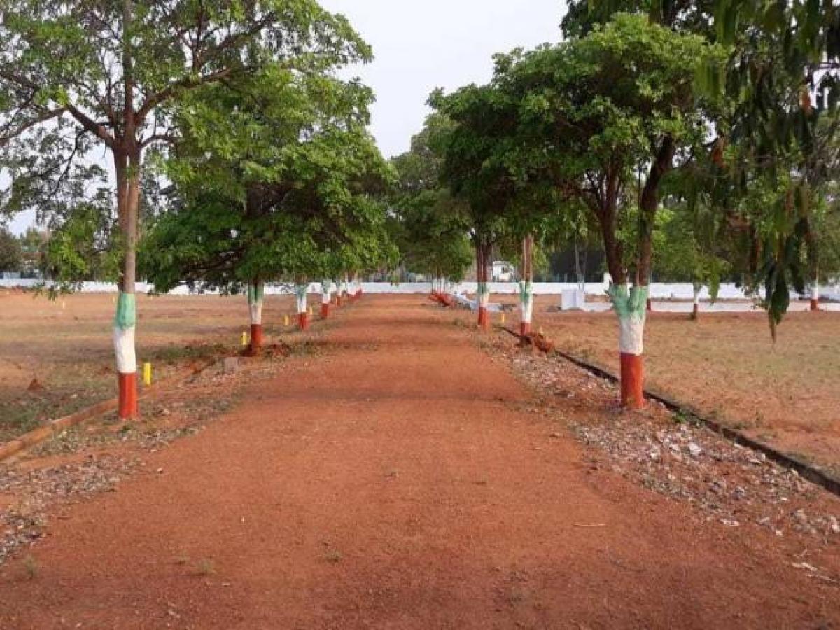  Land in Visakhapatnam, India No. 38064