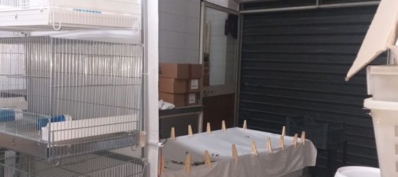  عقار تجاري في Palermo, Italy 110متر مربع رقم 282749 14