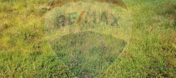 1500m² Land in Nogueira da Regedoura, Portugal No. 67890 3