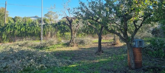 Terrain à Marino, Italy No. 19056 8