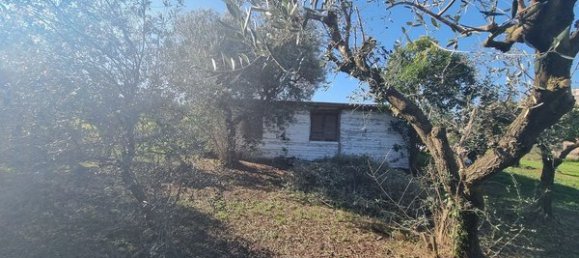 Terrain à Marino, Italy No. 19056 3