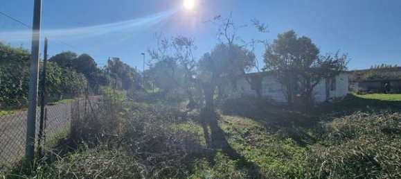 Terrain à Marino, Italy No. 19056 4