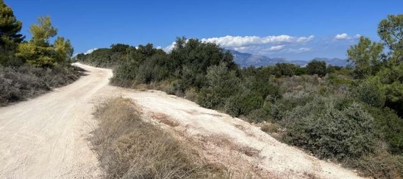 Terra em Zakynthos, Greece N.º 8560 14