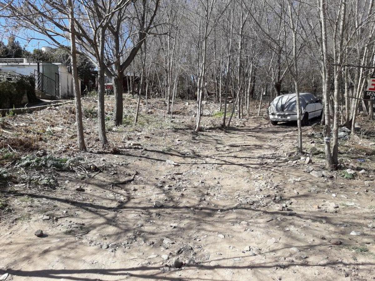  Land in Cordoba, Argentina No. 50874