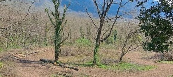 6 Schlafzimmer Haus in Mignano Monte Lungo, Italy, Nr. 325656 28