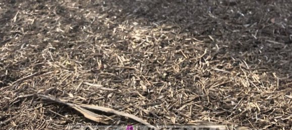 قطعة أرض في Grisignano di Zocco, Italy 5436متر مربع رقم 111405 44