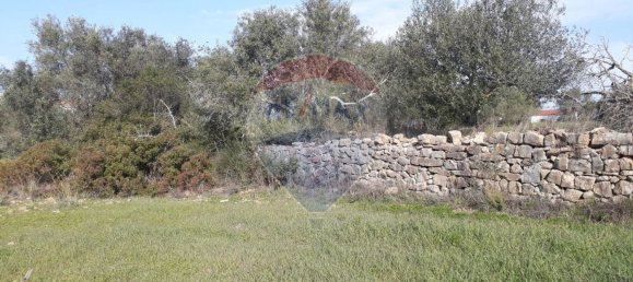 Grundstück in Faro, Portugal 7800m², Nr. 30853 5