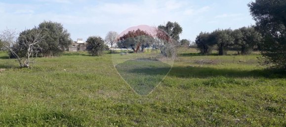 Grundstück in Faro, Portugal 7800m², Nr. 30853 16