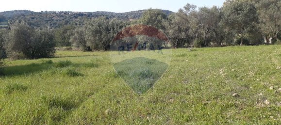 Grundstück in Faro, Portugal 7800m², Nr. 30853 4