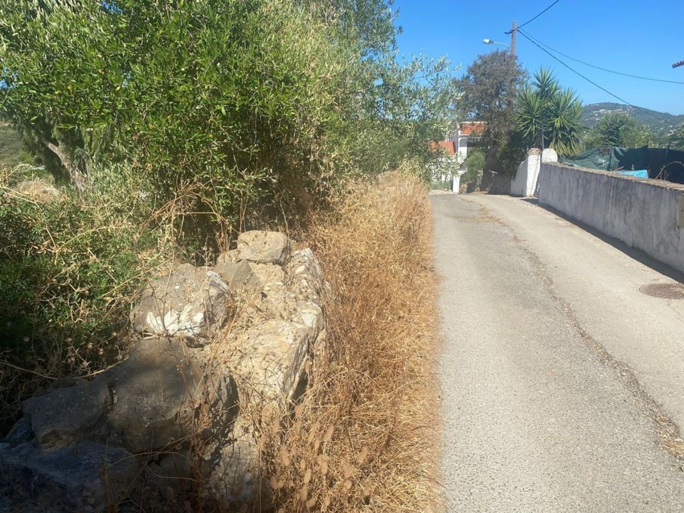 Grundstück in Faro, Portugal 7800m², Nr. 30853