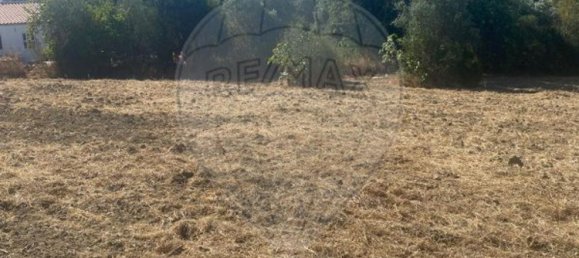 Grundstück in Faro, Portugal 7800m², Nr. 30853 13