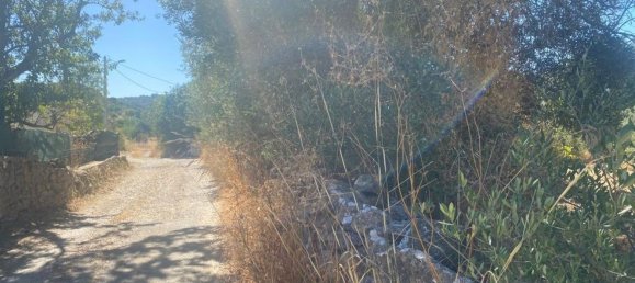 Grundstück in Faro, Portugal 7800m², Nr. 30853 15