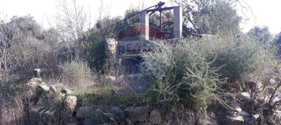 Grundstück in Faro, Portugal 7800m², Nr. 30853 2