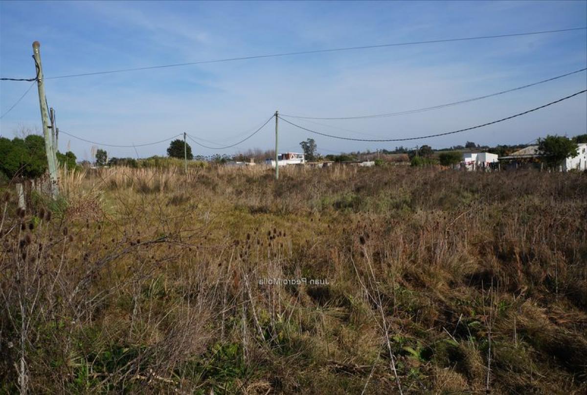  Land in Canelones, Uruguay No. 15399