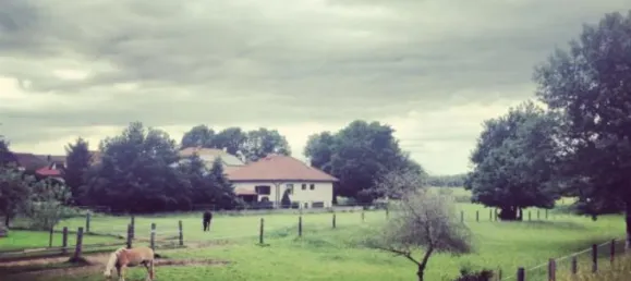 Таунхаус с 3 комнатами в Зигхартскирхен, Австрия № 205883 3